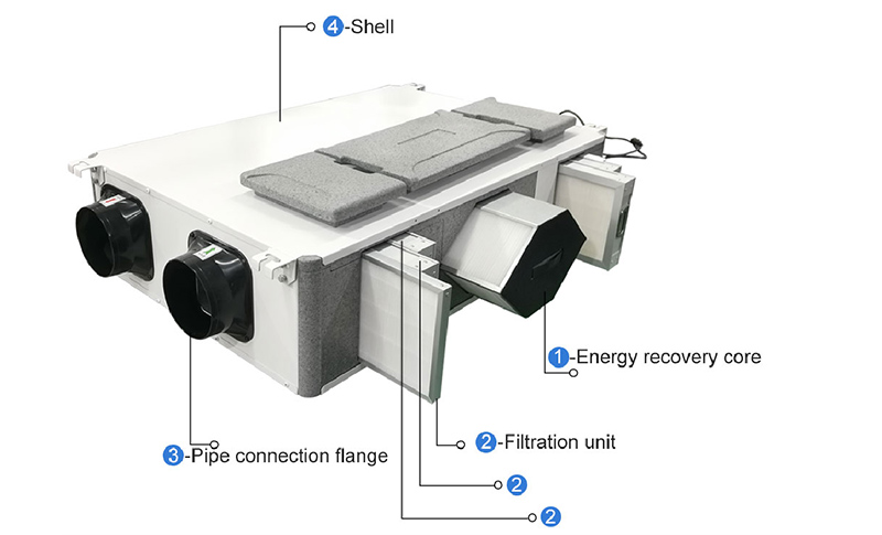 EPP ERV -2