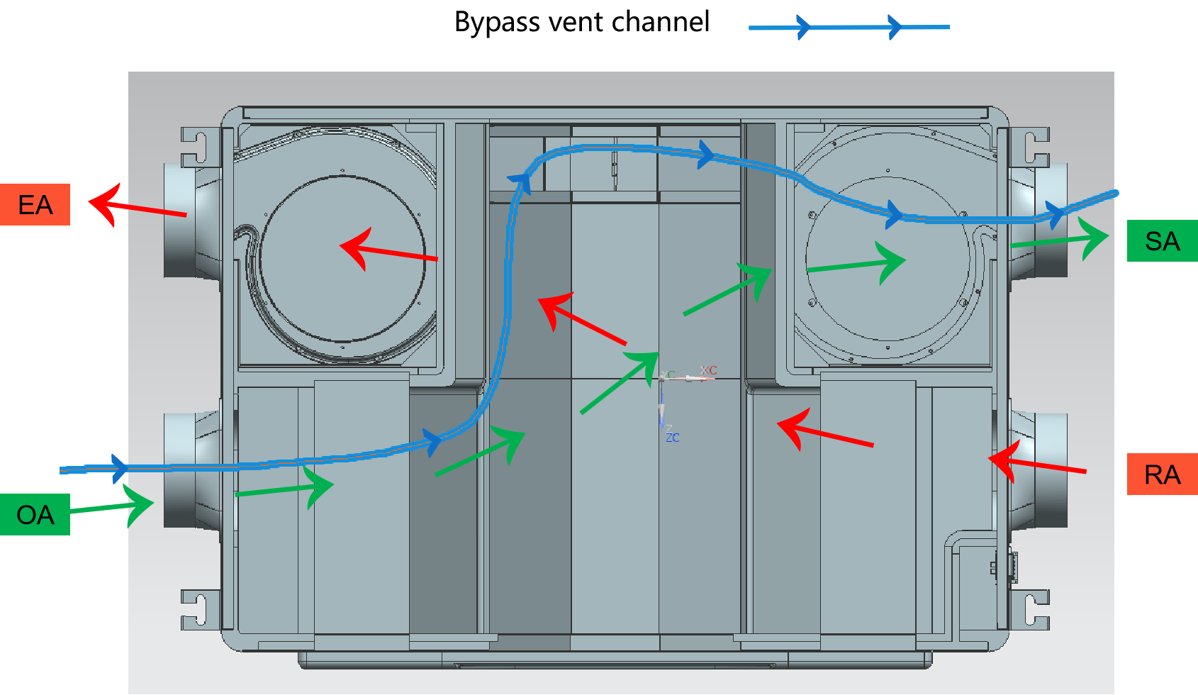 EPP ERV inner structure