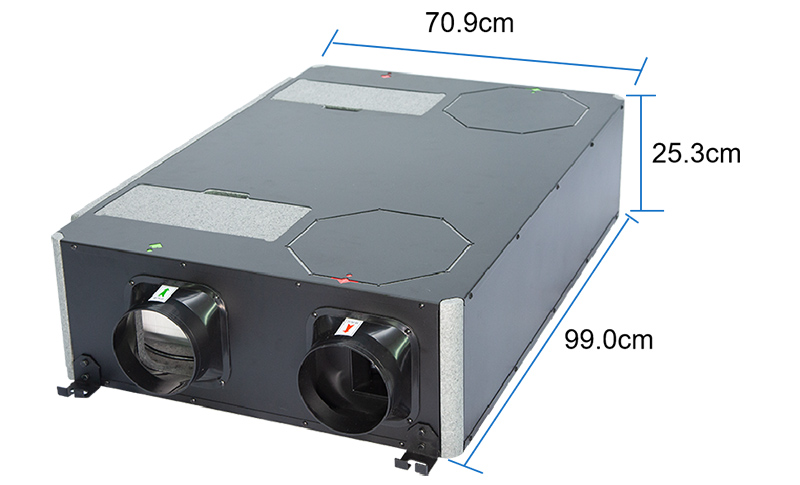 EPP size