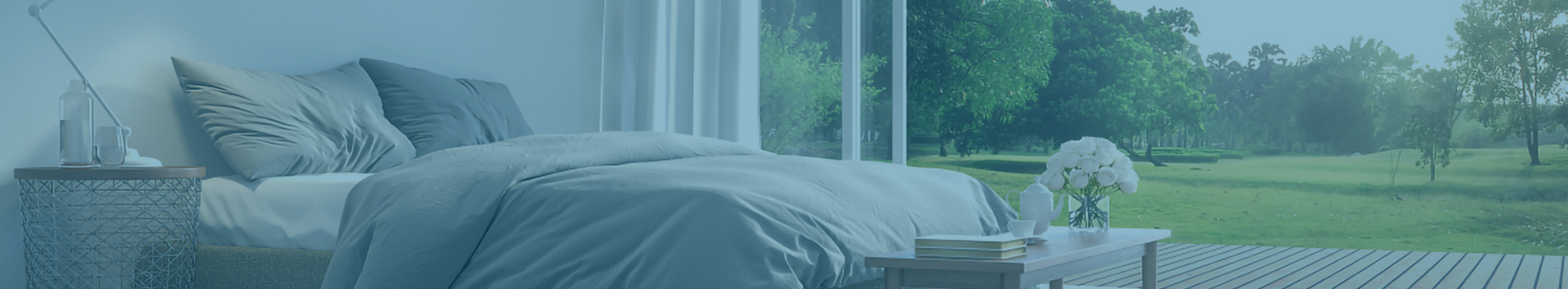 nybanner