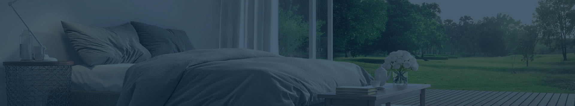 nybanner