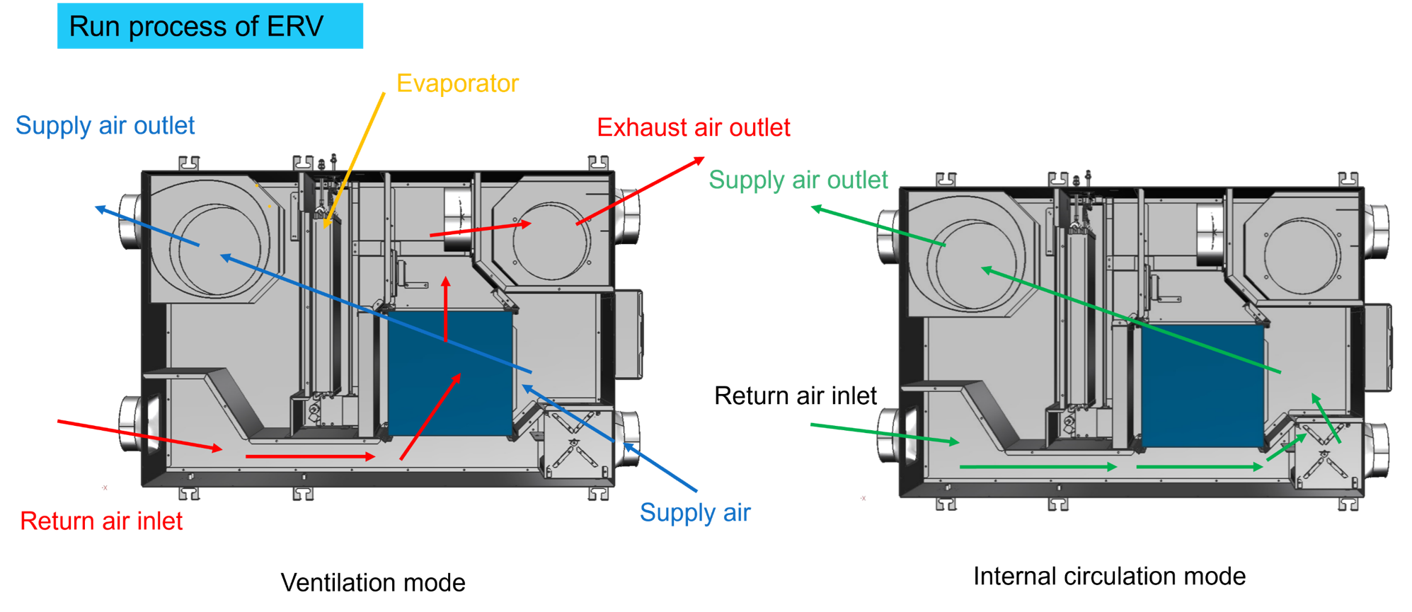 run process of ERV